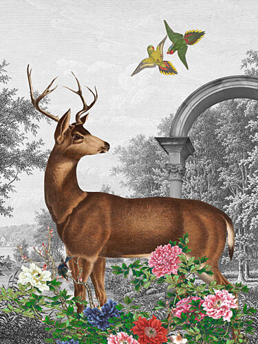 Elegant Deer Garden Scene Art Print