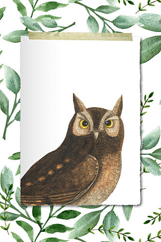 Wise Woodland Owl Art Print