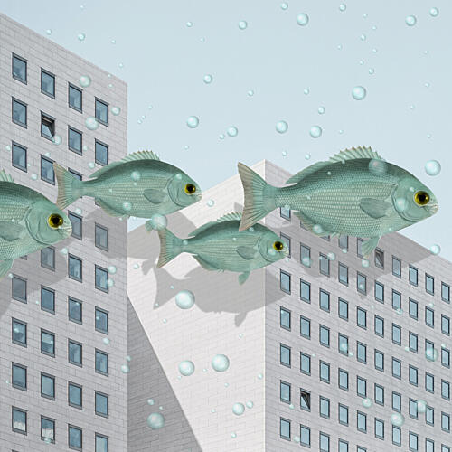 Urban Fish Dream Art Print