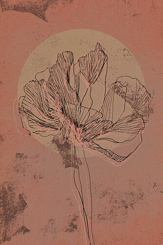 Sunset Flower Art Print