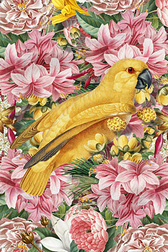 Yellow Parrot Tropical Flowers Art Print