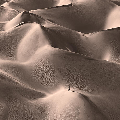 Desert Dunes Solitude Art Print