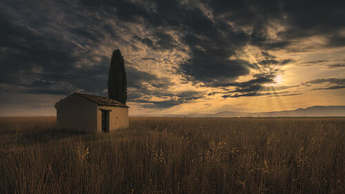Lone House Golden Field Gold Print