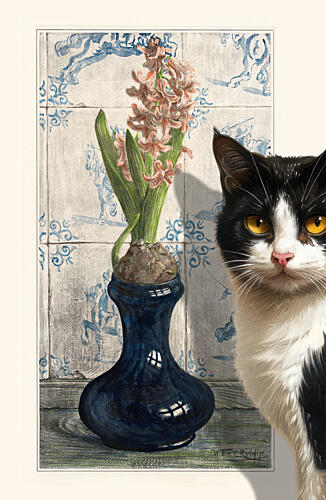 Curious Cat and Hyacinth Art Print