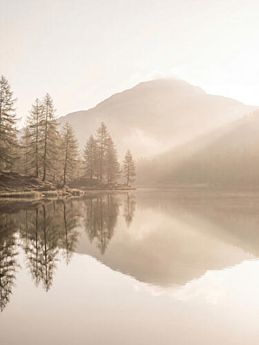 Misty Mountain Lake Gold Print