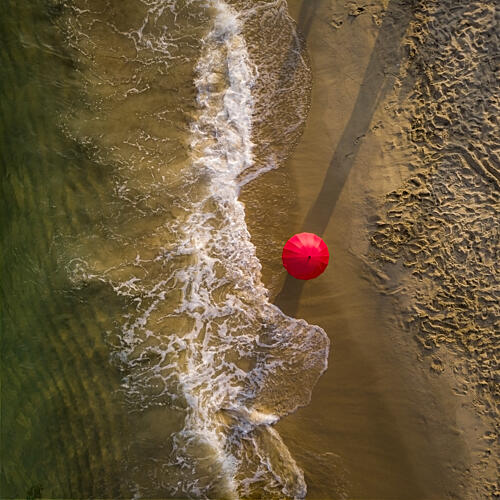 Solitary Beach Umbrella Art Print
