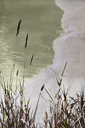 Tranquil Shoreline Grass Art Print
