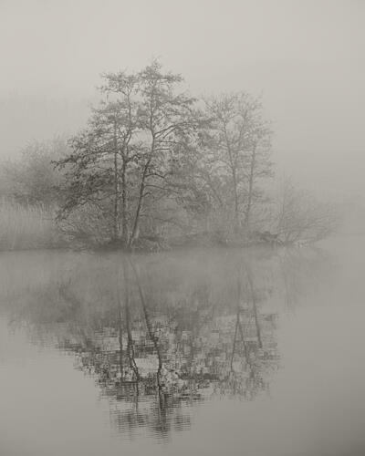 Misty Trees Reflection Art Print by by Pej