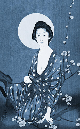 Moonlit Geisha Plum Blossoms Art Print