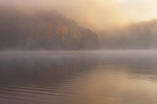 Dawn over Misty Lake Art Print by P.J.M.Willington