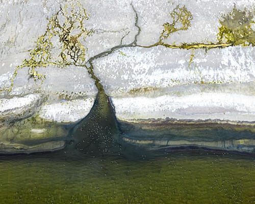 Organic Earth River Art Print
