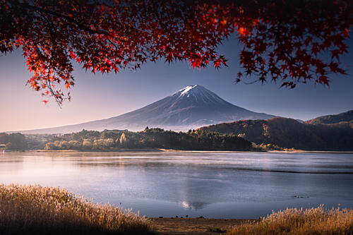 Mount Fuji Autumn Serenity Gold Print