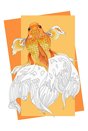 Orange Goldfish Flowing Tail Gold Print