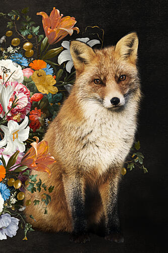 Red Fox and Blooms Art Print