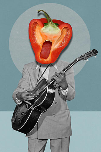 Singing Pepper Guitarist Pop art reproduction