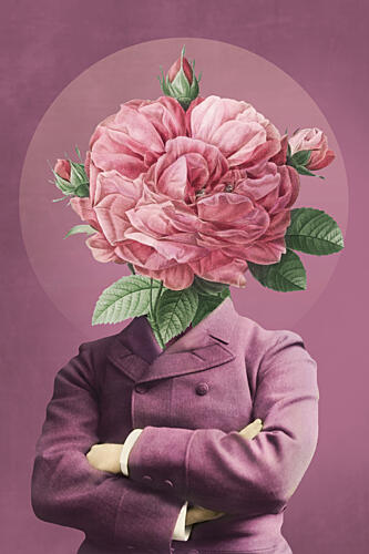 Elegant Rose Gentleman Art Print