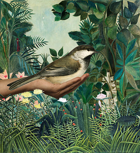 Bird in Serene Jungle Art Print