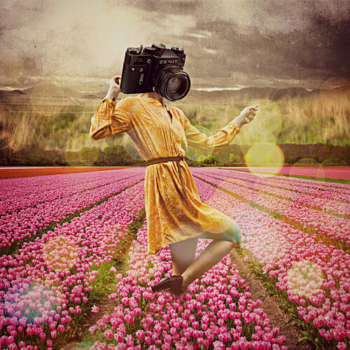 Camera Head in Tulips Art Print