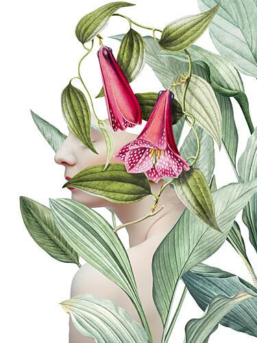 Serene Botanical Profile Art Print