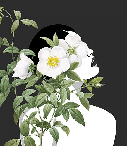Woman with White Roses Art Print