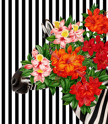 Tropical Zebra Bloom Art Print