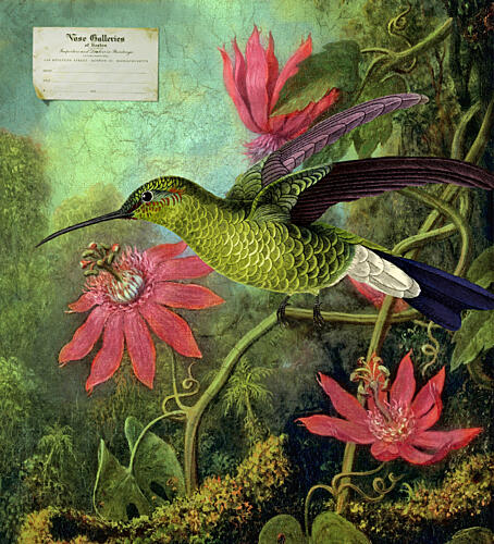 Vibrant Hummingbird Tropics Art Print