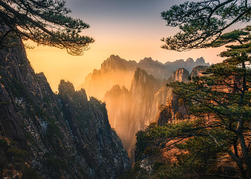 Golden Hour Mountain Vista Gold Print