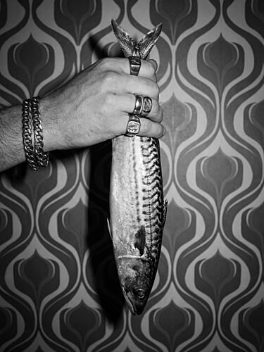 Stylish Hand Mackerel Art Print