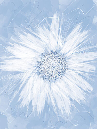 Serene White Flower Art Print