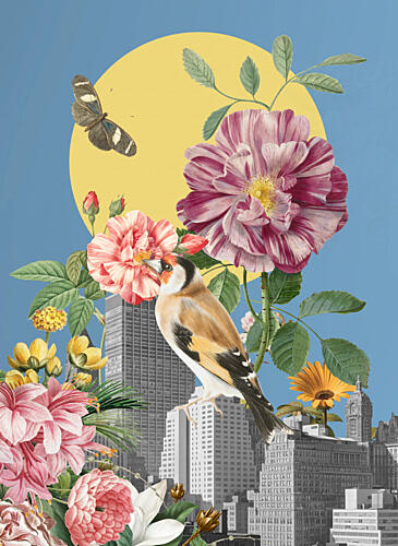 Goldfinch City Blooms Gold Print