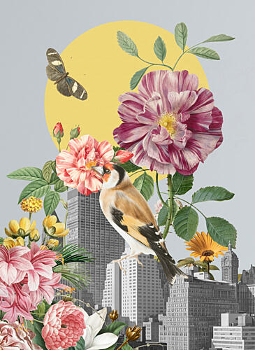 Urban Nature Blooms Art Print