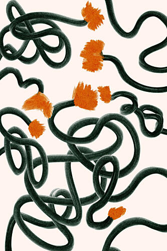 Wanderingflowersno02 Art Print