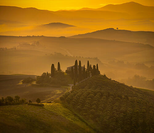 Golden Tuscan Morning Art Print by Liz Fang