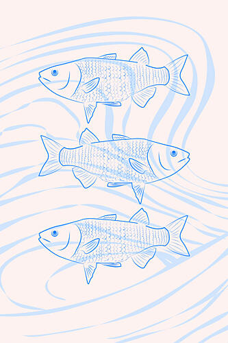 Fishes Art Print