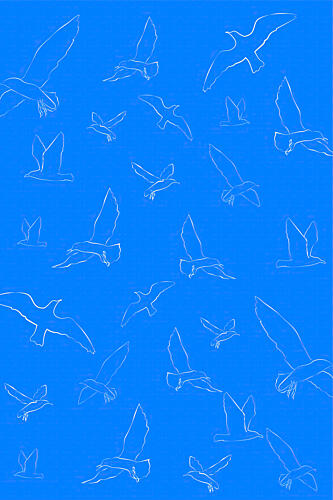 Seagulls Art Print