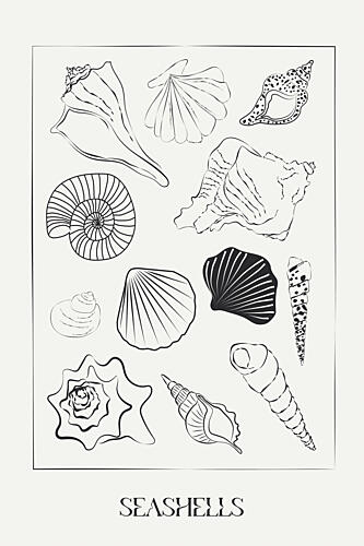 Seashellsno02 Art Print