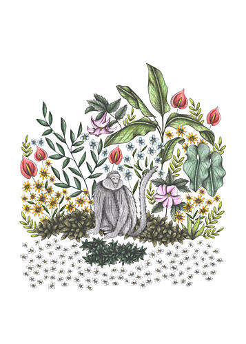 Jungle Monkey Blooms Art Print by Cecilia Battaini