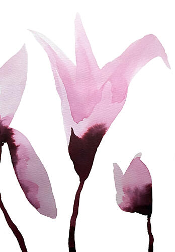 Pink Watercolor Blossoms Art Print