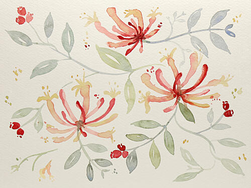 Delicate Watercolor Botanicals Art Print