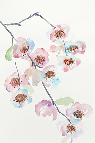 Delicate Pink Blossoms Art Print
