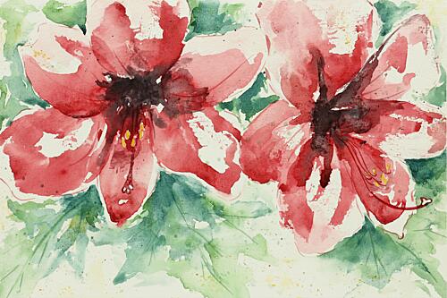 Vibrant Red Flowers Art Print