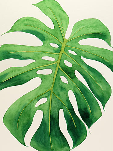 Tropical Monstera Leaf Art Print
