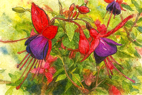 Vibrant Fuchsia Blooms Art Print
