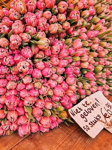 Dutch Tulip Market Art Print