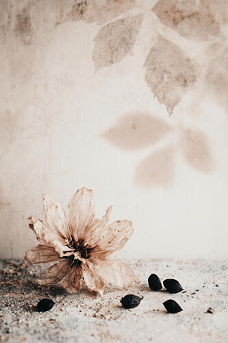 Muted Moments No 12 Art Print