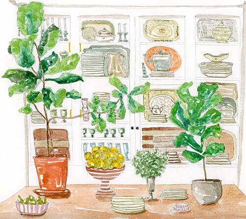Kitchen Cabinet Plants Art Print