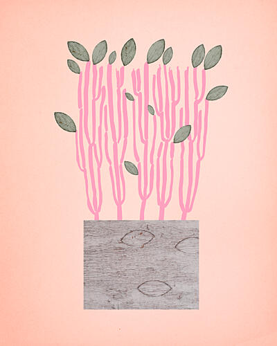 Botanical Pink Stems Art Print