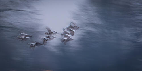 Flight Through Clouds Art Print