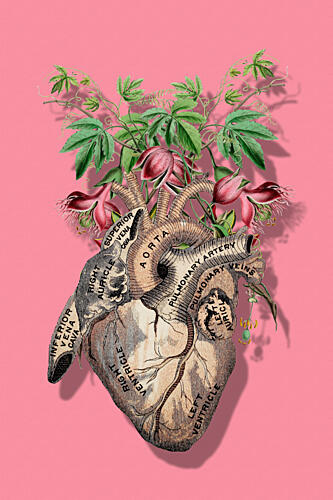 Botanical Human Heart Art Print
