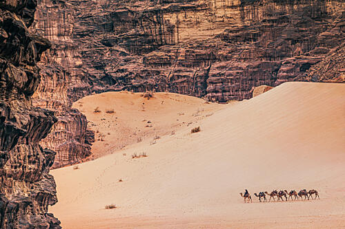 Desert Camel Train Gold Print